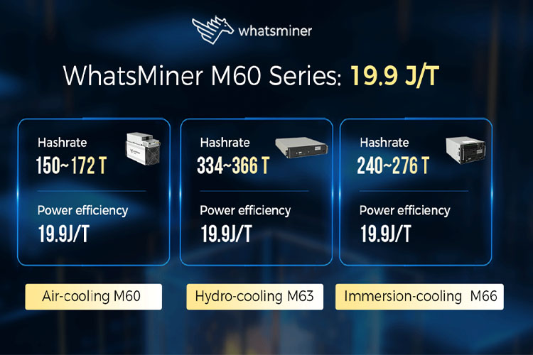 whatsminer m60