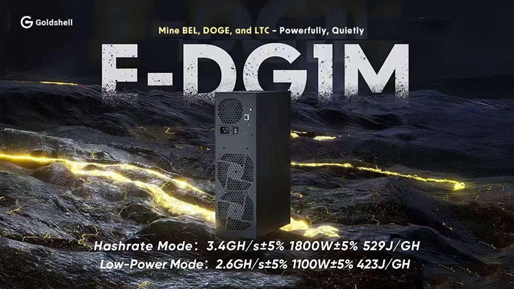 Goldshell E-DG1M miner