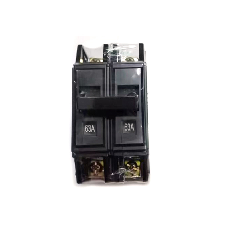 2 Pole 63A miniature circuit breakers