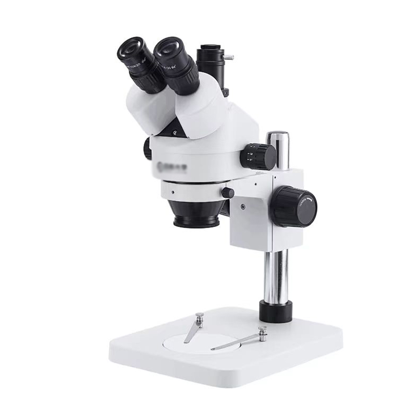 Stereo digital microscope